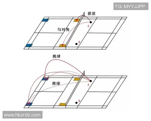 深入分析北京羽毛球队的控制打法及其战术优势与应用