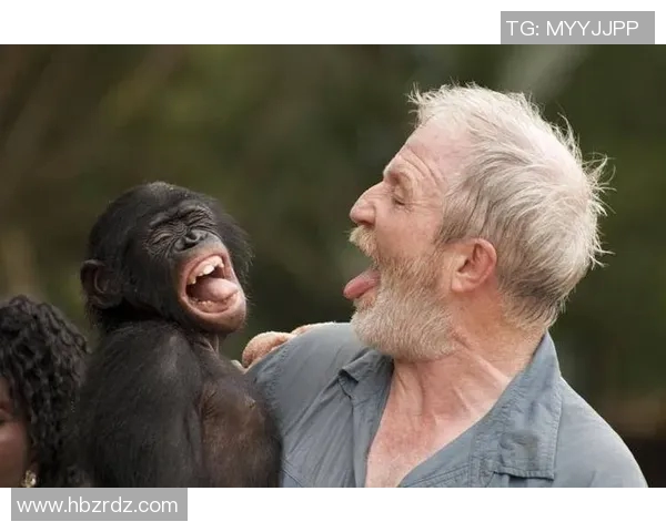 猩猩足球明星的奇幻旅程与动物界的运动梦想 猩猩足球明星的奇幻旅程与动物界的运动梦想