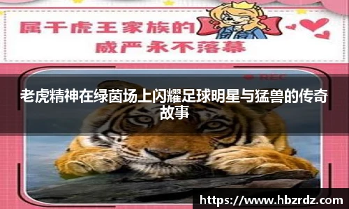 老虎精神在绿茵场上闪耀足球明星与猛兽的传奇故事
